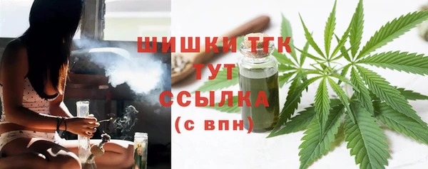 хмурый Ветлуга