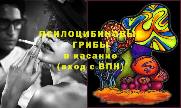 круглые Новозыбков