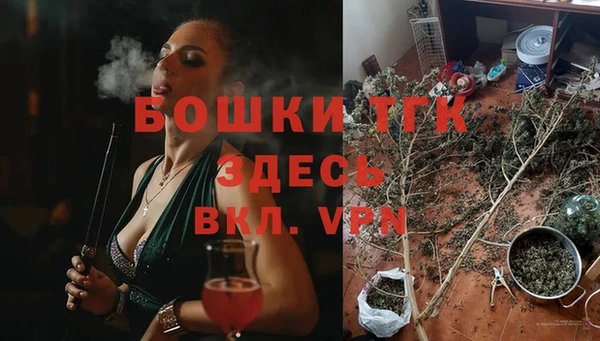 индика Валуйки