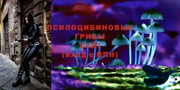 мдма Новокубанск