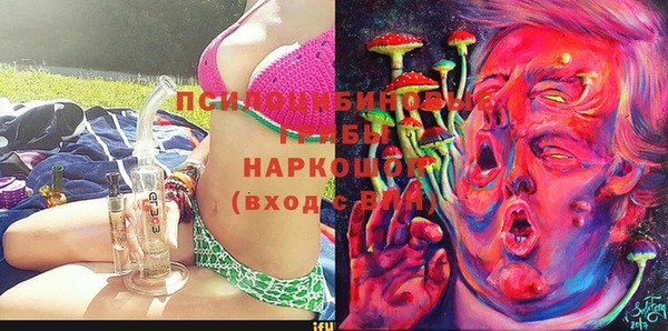 spice Нягань