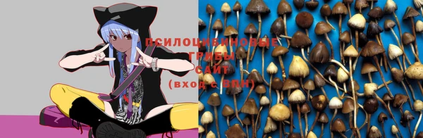 винт Весьегонск