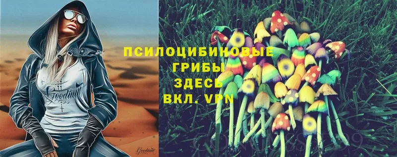 ссылка на мегу ТОР  Тетюши  Галлюциногенные грибы Cubensis 