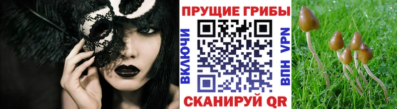 Псилоцибиновые грибы MAGIC MUSHROOMS Тетюши